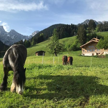 Au Pre Des Chevaux Bed and Breakfast Chateau-d'Oex Exteriör bild