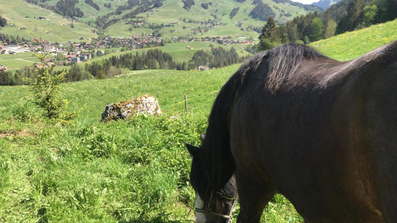 Au Pre Des Chevaux Bed and Breakfast Chateau-d'Oex Exteriör bild