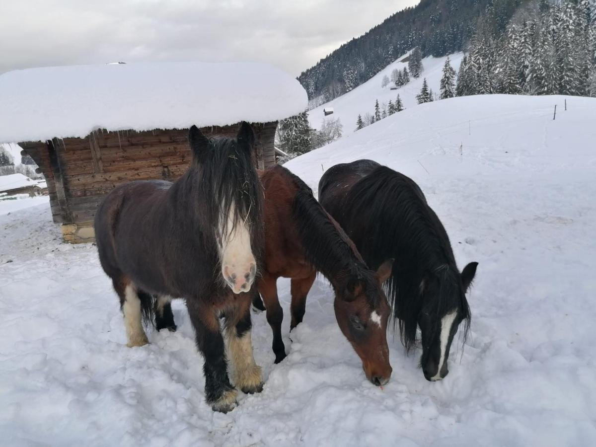 Au Pre Des Chevaux Bed and Breakfast Chateau-d'Oex Exteriör bild