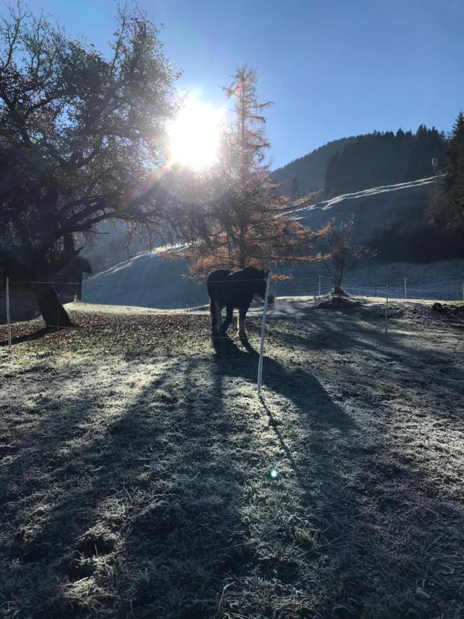 Au Pre Des Chevaux Bed and Breakfast Chateau-d'Oex Exteriör bild