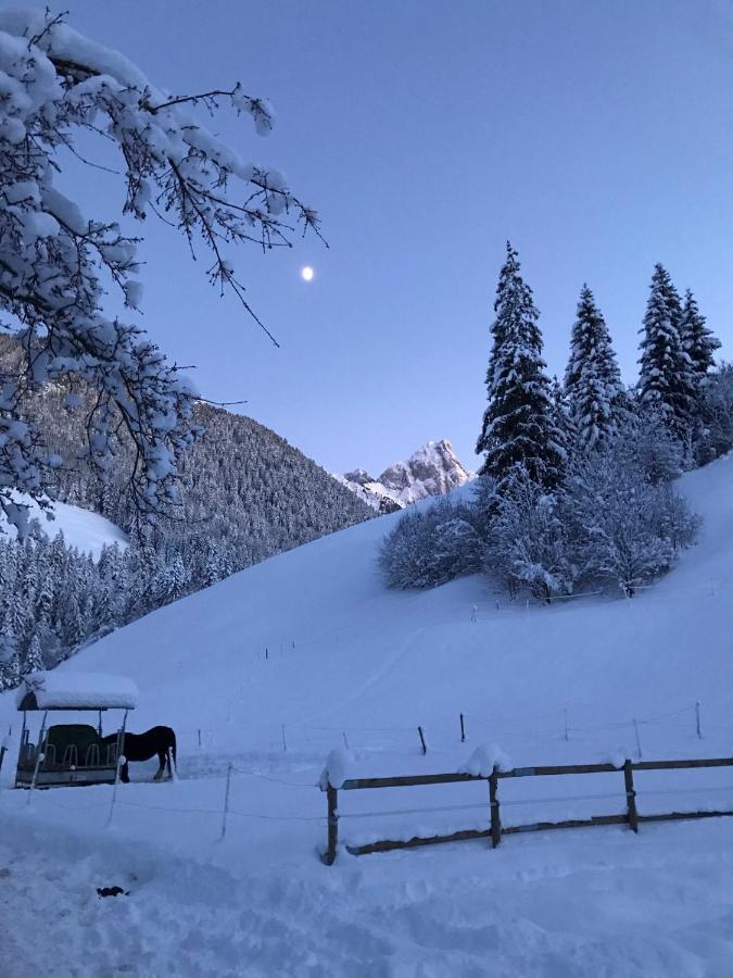 Au Pre Des Chevaux Bed and Breakfast Chateau-d'Oex Exteriör bild
