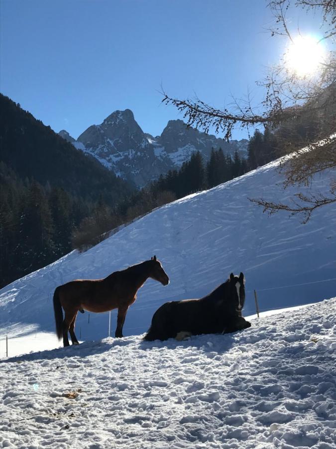 Au Pre Des Chevaux Bed and Breakfast Chateau-d'Oex Exteriör bild