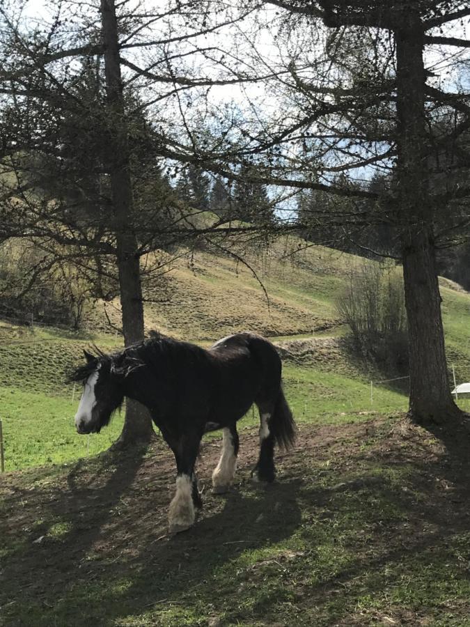 Au Pre Des Chevaux Bed and Breakfast Chateau-d'Oex Exteriör bild